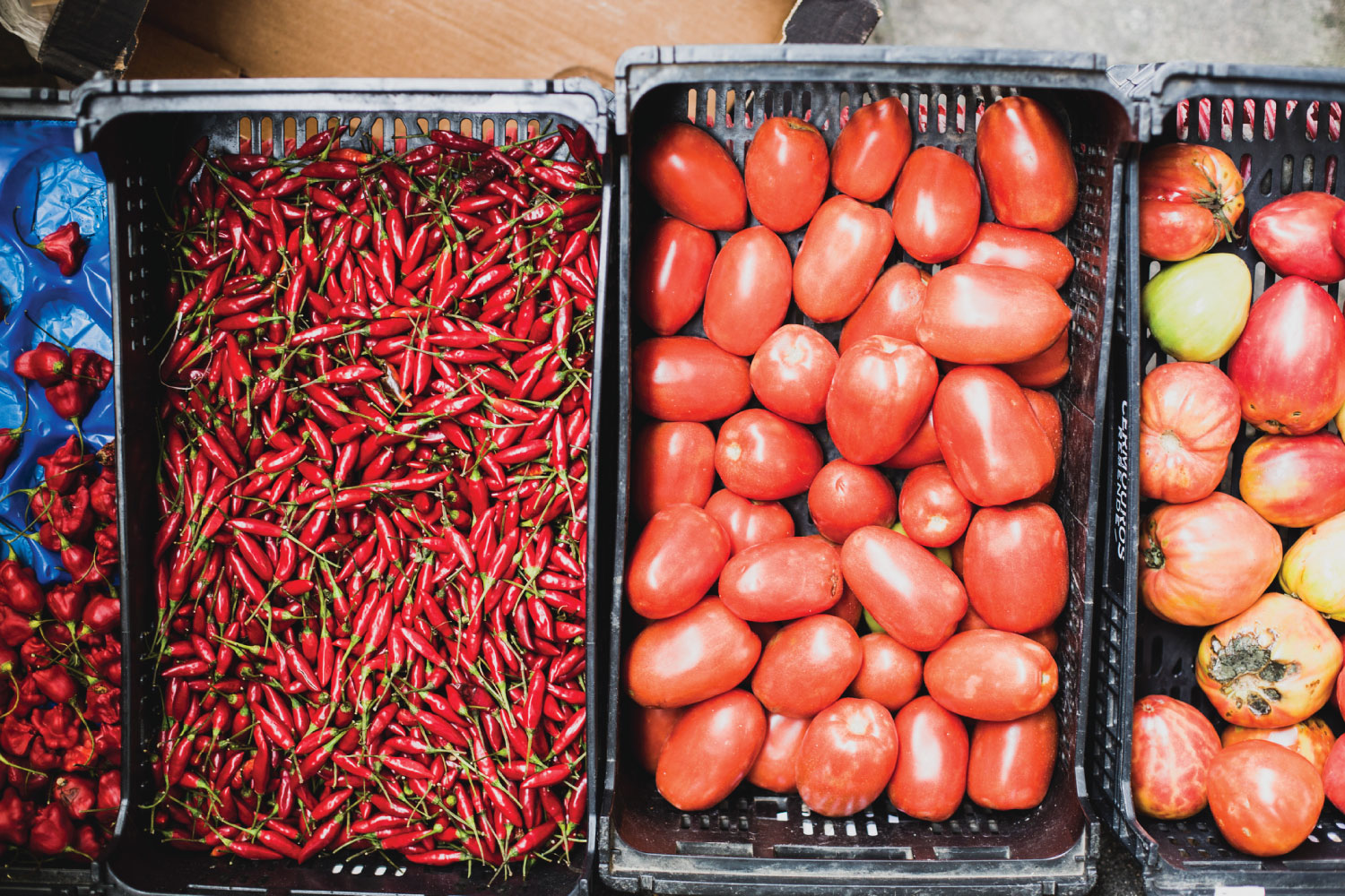 crates of vegies